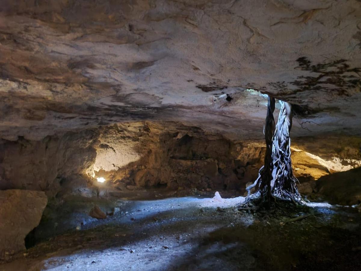 Zenote Sanctuary (Adults Only) Ξενοδοχείο Τουλούμ Εξωτερικό φωτογραφία