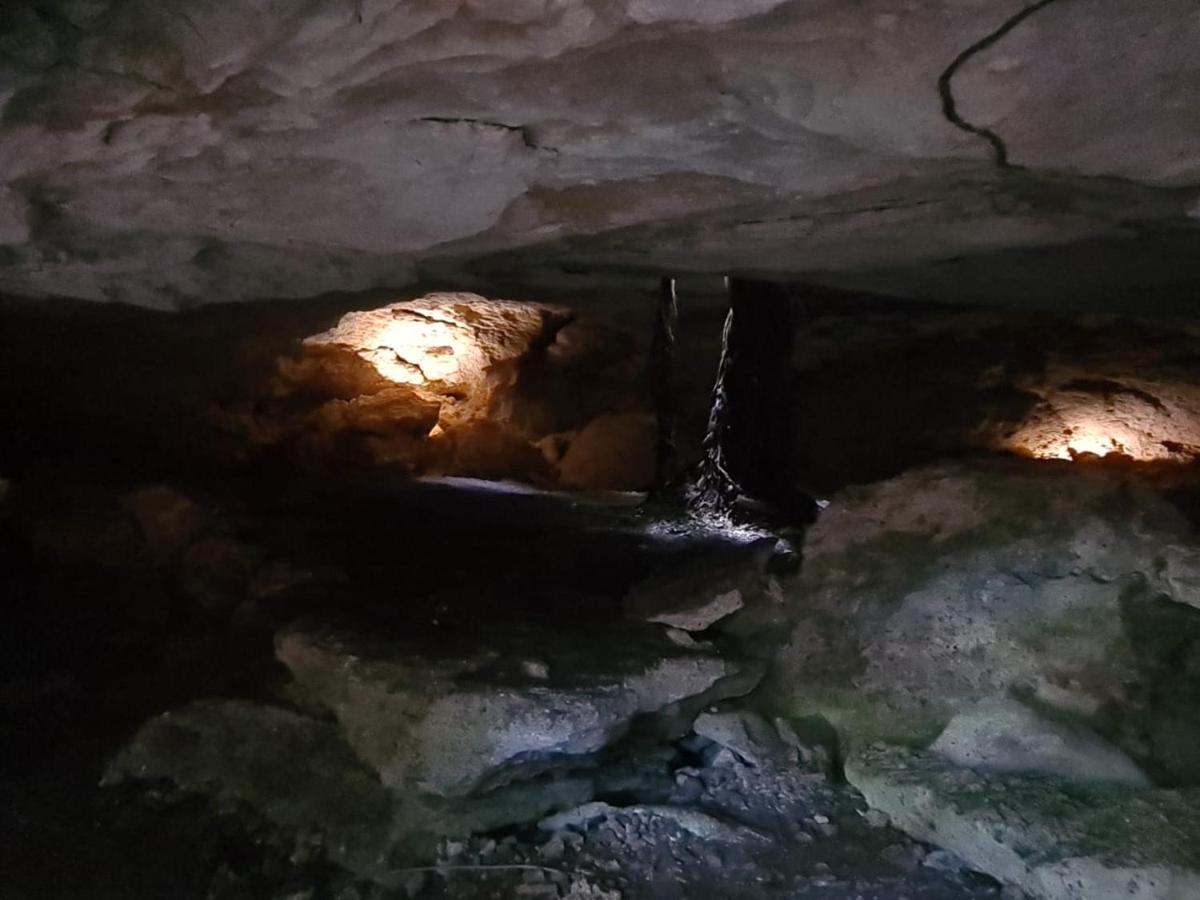 Zenote Sanctuary (Adults Only) Ξενοδοχείο Τουλούμ Εξωτερικό φωτογραφία